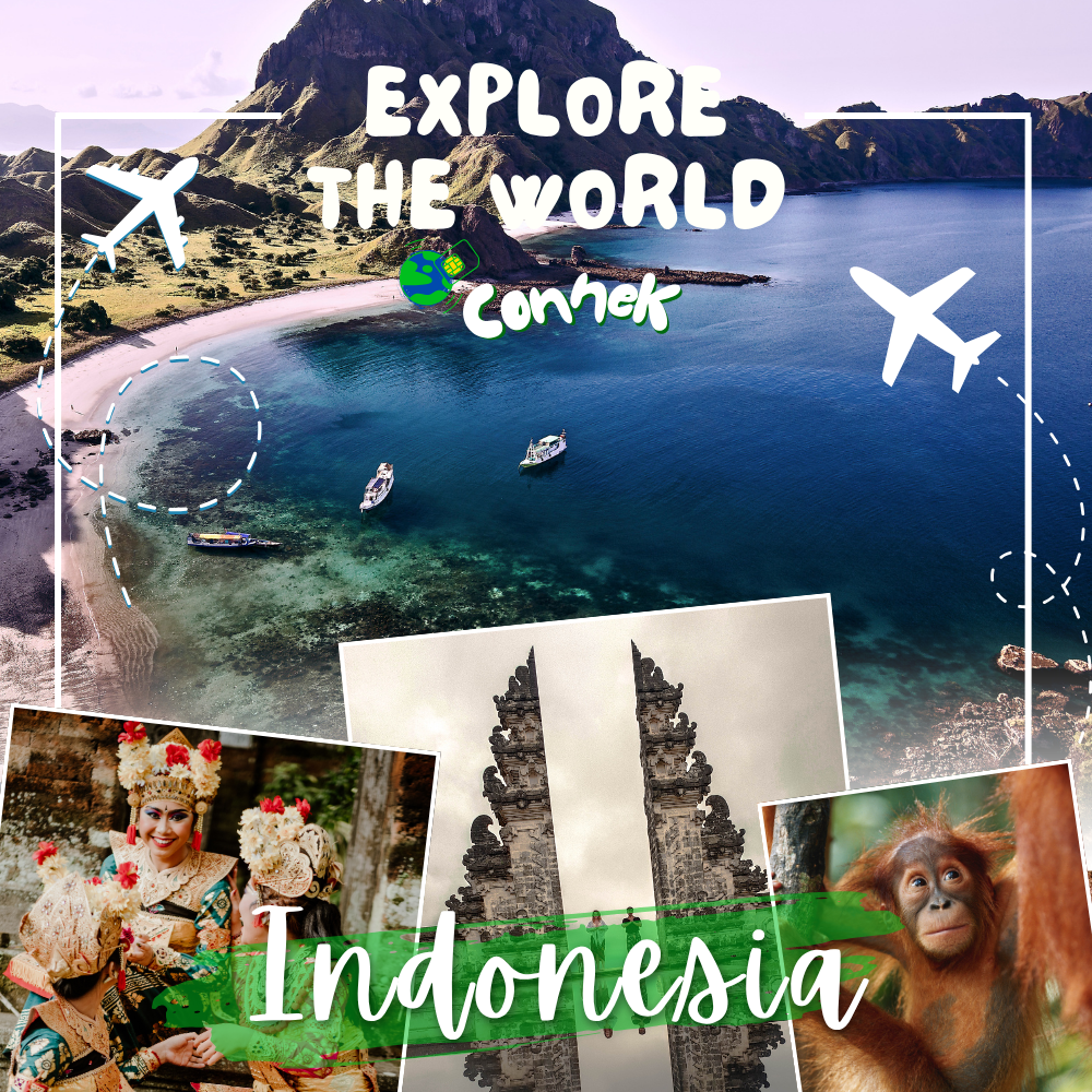 Indonesia eSIM**